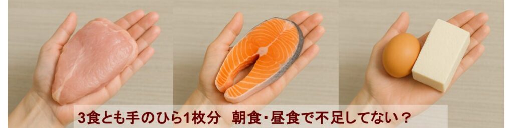 たんぱく質の理想的な摂取量目安を示した図。手のひらに乗る程度、体重✕1〜1.5ｇをわかりやすく表している。