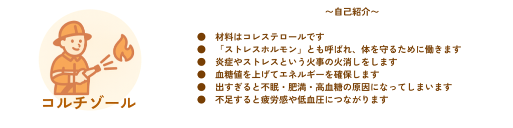 コルチゾールの役割を説明する図　コルチゾールの材料やストレスホルモン、血糖値への影響、抗炎症作用を紹介している　　　　　　　　　　　
